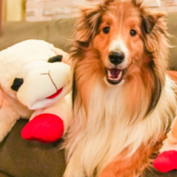 THE BIGGEST JUMBO “LAMB CHOP”.CLASSIC LICENSED PLUSH DOG TOY 25.5… - Picture 15 of 15